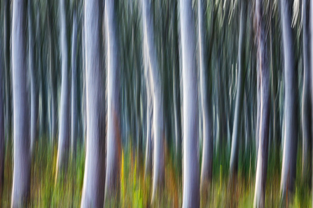 Shape Colours Q2A1122